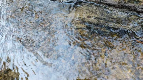 A small stream in the forest 6 Stock Footage 332678739