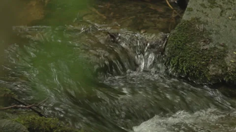 Small stream in a forest Stock Footage 33752026