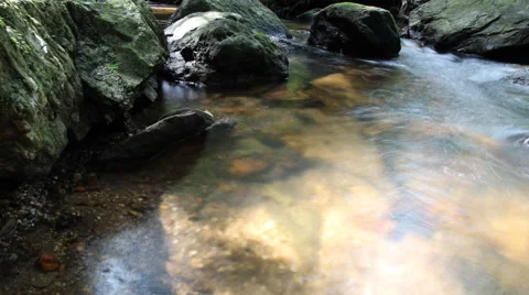 Small stream in the  forest. Stock Footage 68693661