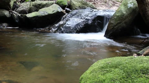 Small stream in the  forest. Stock Footage 68694311