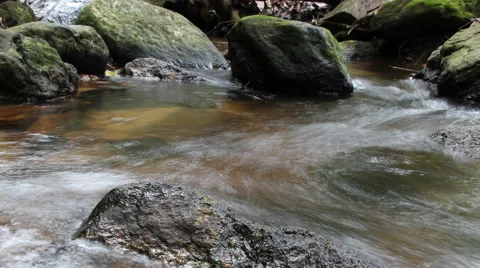 Small stream in the  forest. Stock Footage 68694970
