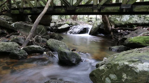 Small stream in the  forest. Stock Footage 68696797