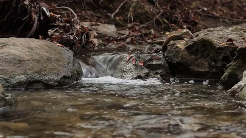 Small stream in the forest Stock Footage 82210252