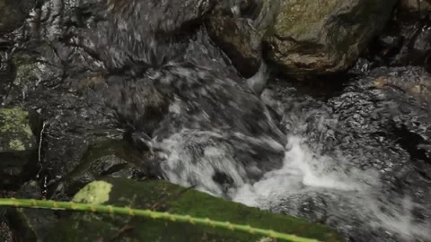 Small stream in the forest 스톡 동영상 149123862