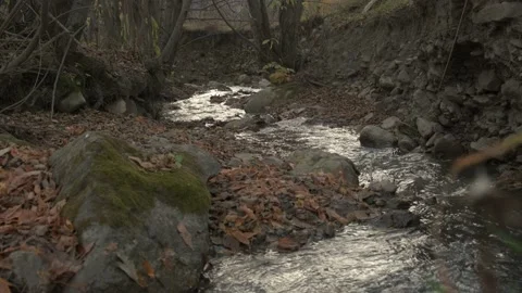 A small stream in the forest in a mountainous area Stock Footage 171945108
