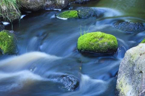 Small stream in forest Stock Photos