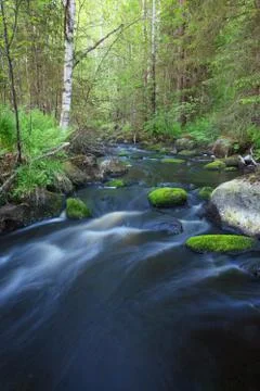 Small stream in forest Stock Photos