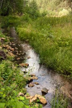 A small stream in the forest Stock Photos