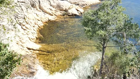 Small stream in a forest of Sardinia Stock-Footage 151607146
