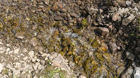 A small stream formed by melting snow in summer on the mountain. North Caucas Stock Photos