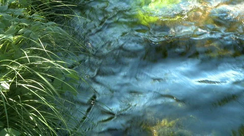 Small Stream fresh water Video stock 460435