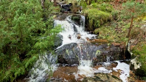Small stream of fresh water that goes down the mountainside, Guadarrama, Madrid. Stock Footage 252636042