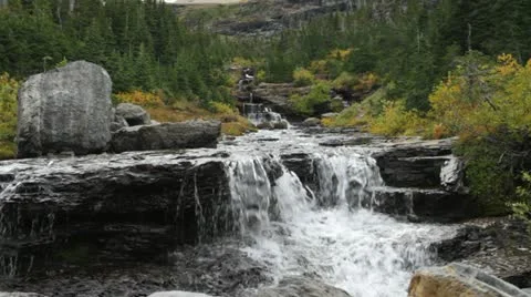 Small Stream in Glacier Park Видео 22146411