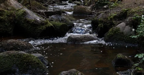 Small stream goes over rocks in forest in Sweden, Scandinavia Stock Footage 129852148