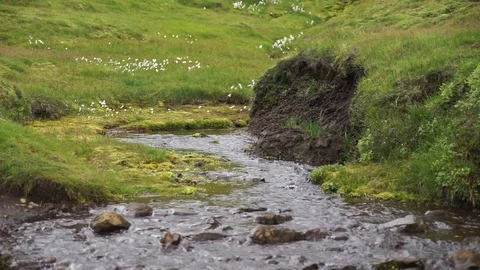 Small stream with green meadow in slow motion on the Fimmvorduhals hiking track Video stock 125630060
