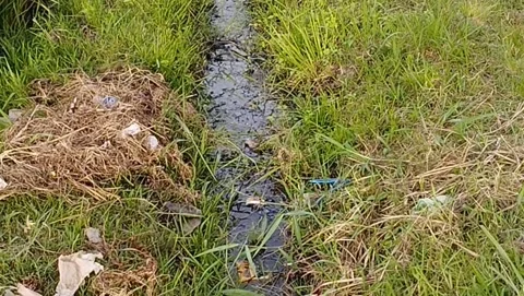 Small stream gutter to drain the water to the rice fields Stock Footage 225483539