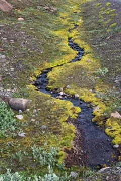 Small Stream in Iceland 스톡 사진