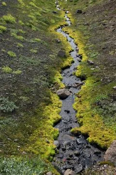 Small Stream in Iceland Stock Photos