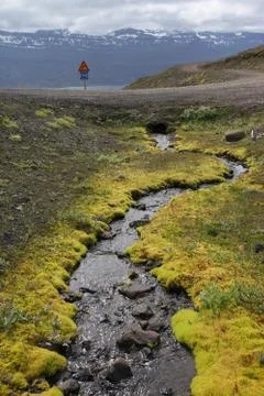 Small Stream in Iceland Stock Photos