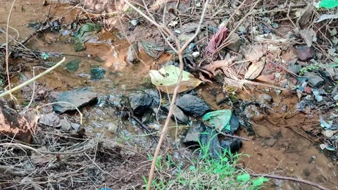 A small stream of irrigation water flowing over rocks and dirt, surrounded .. Video stock 329313332