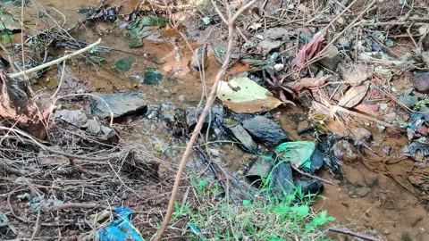 A small stream of irrigation water flowing over rocks and dirt, surrounded .. Video stock 329313406