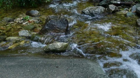 Small stream in the jungle at Doi Inthanon Stock Footage 109321851