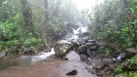 A small stream in Kodagu, India Stock Footage 94413809