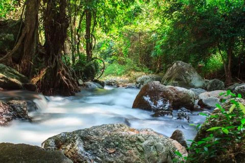A small stream  with long exposure Stock Photos
