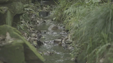 Small Stream, Meditating Scene, China. Stock Footage 242651026