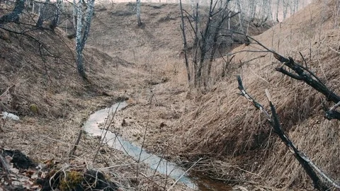 A small stream of meltwater in a spring leafy ravine Stock Footage 128242039