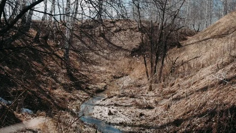  A small stream of meltwater in a spring leafy ravine Stock Footage 128242625