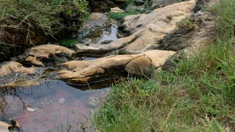 Small stream in the middle of the forest Stock Photos