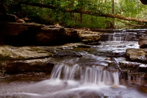 A small stream in the middle of the forest Stock Photos