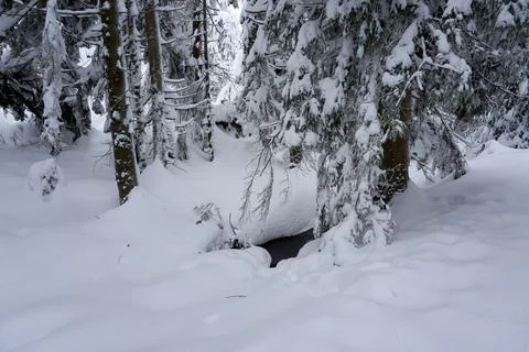 Small stream in the middle of much snow Stock Photos