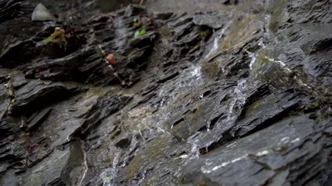 Small stream of mountain river with water flowing fast between rocks in forest. Vidéo 158179316
