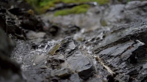 Small stream of mountain river with water flowing fast between rocks in forest. Vidéo 158179341