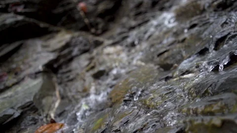 Small stream of mountain river with water flowing fast between rocks in forest. Video stock 158179374