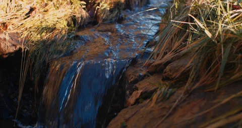 Small stream on a mountain side near a forest in 4k Stockbeeldmateriaal 144430921