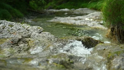 Small stream in the mountains with clear and clean water Stock Footage 211473193