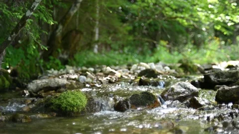 A small stream in the mountains Stock-Footage 217379571