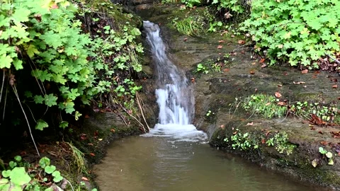 Small stream in the mountains of North Macedonia Stock Footage 216953229