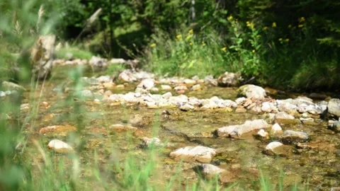 A small stream in the mountains in summer Stock-Footage 217379651