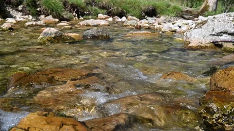 A small stream in the mountains in summer Video stock 217379669
