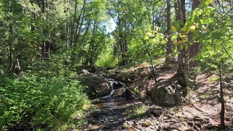 Small Stream Near Lake Spaulding California Stock Footage 314240315