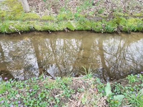 Small stream or creek or river and mud and grass Stock Photos