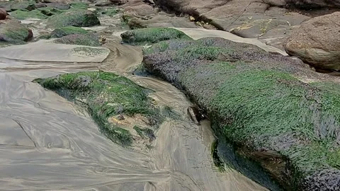 A small stream or rivulet running between rocks and sand on the beach Stock-Footage 265144797