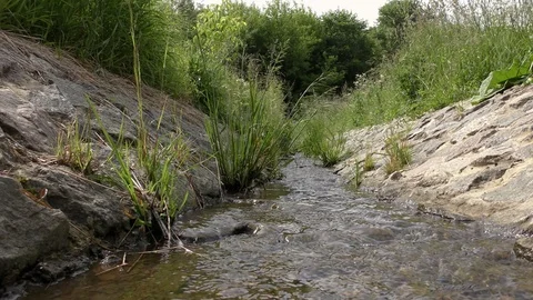 Small stream in the park Stockbeeldmateriaal 91250850