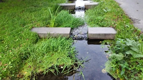 Small Stream Passing Through a Grassy Gothenburg Park Beneath Concrete Slabs Stock-Footage 347679397