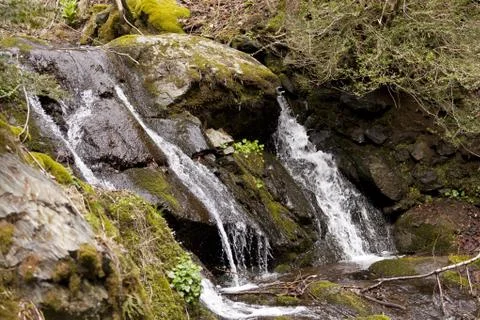 Small stream Stock Photos