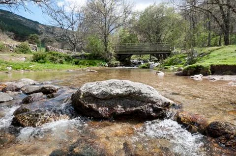 Small stream Stock Photos